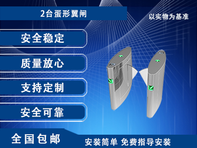 通道翼闸VII