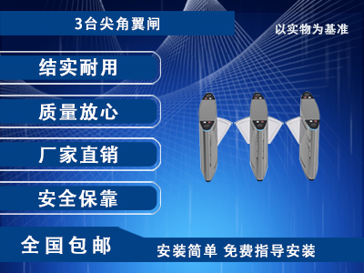 通道翼闸III