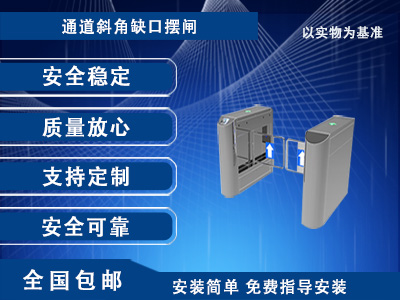 摆闸II