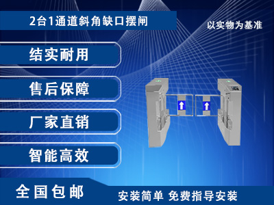 摆闸IV