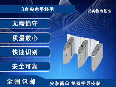 平移闸II