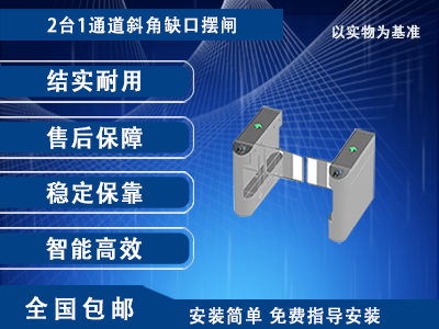 中空摆闸I