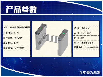 中空摆闸I