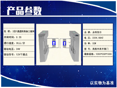 摆闸IV