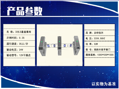 摆闸III